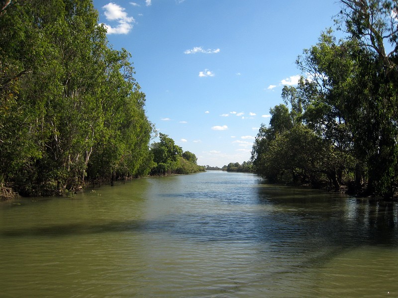 2009-11-06 22-01-18_4.jpg - Krokodiltour auf dem Yellow Water.